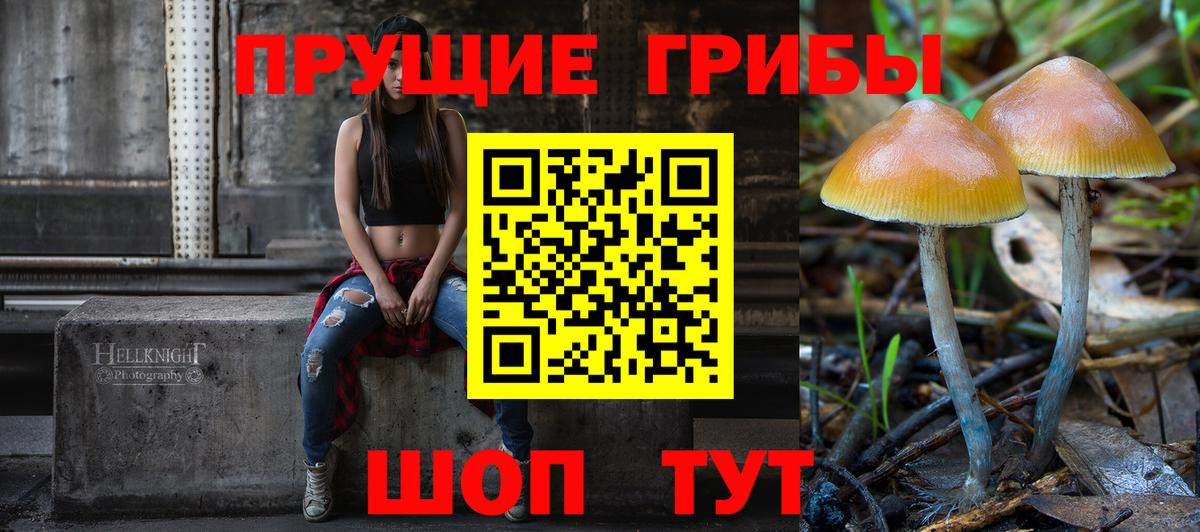 Галлюциногенные грибы GOLDEN TEACHER Туймазы